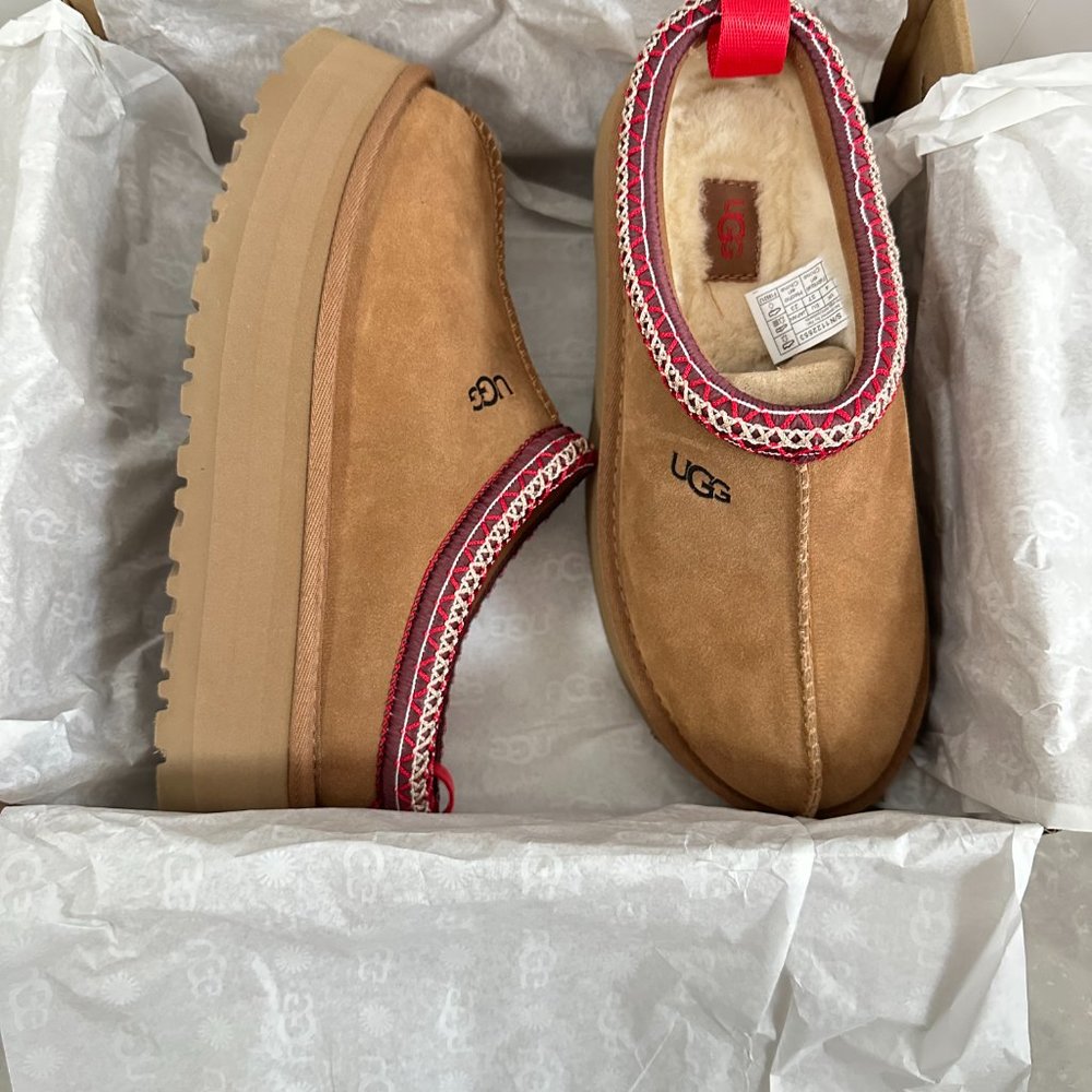 NWT UGG Tazz Women Slippers Mule Clogs in Chestnut